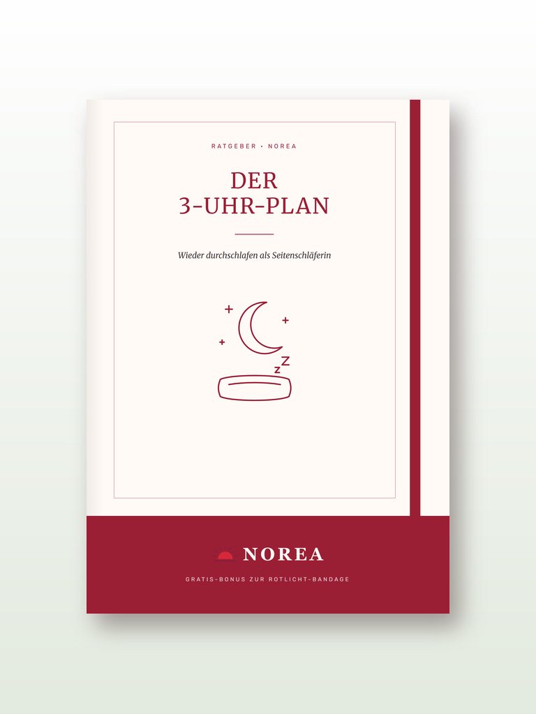 Der 3-Uhr-Plan (E-Book) - Norea